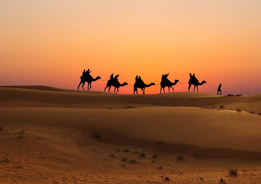 Doha: Sunset Safari, Dune Bashing, Sandboarding & Camel Ride - Pickup and drop-off that actually helps: where to meet