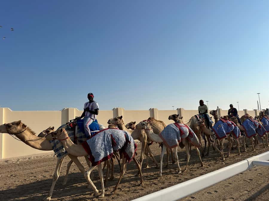 Doha: West Qatar Guided Journey With Pickup & Drop-Off - Zakreet Fort ruins: history you can see with your own eyes