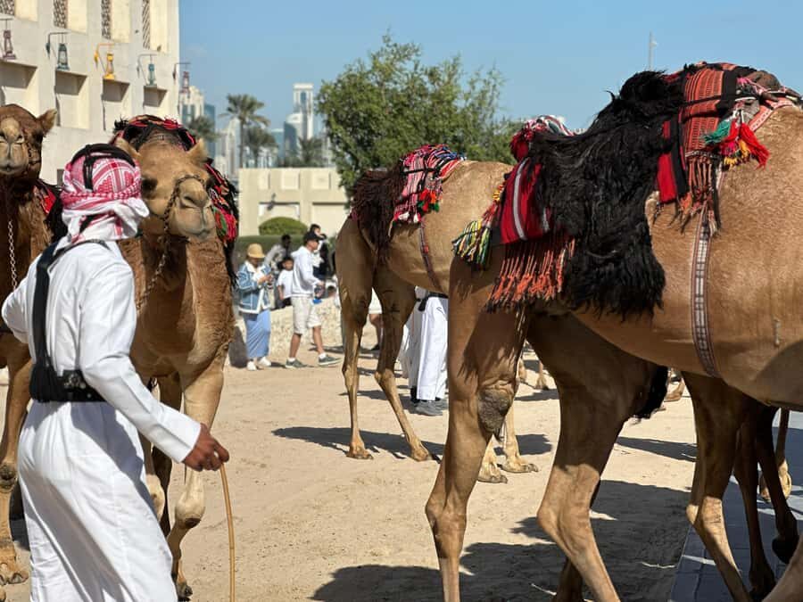 Doha: West Qatar Guided Journey With Pickup & Drop-Off - Tour pace and what the timing really means for you