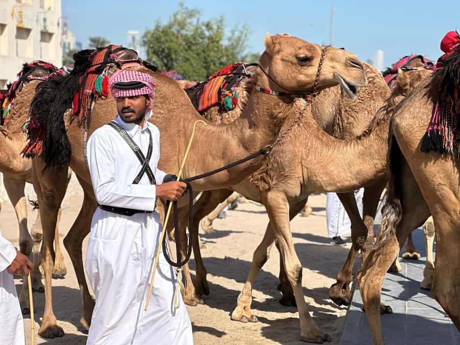 Doha: West Qatar Guided Journey With Pickup & Drop-Off - Al Shahaniya Camel Racetrack: more than a quick photo stop