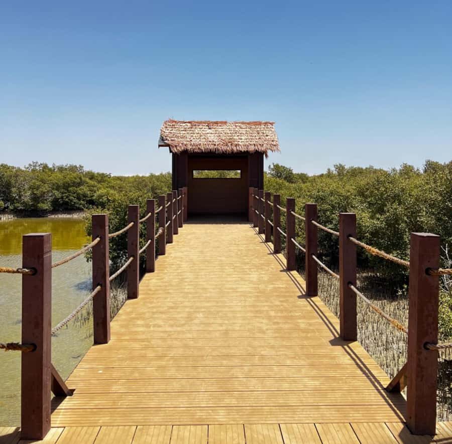 Doha: Zubara UNESCO Site, Mangroves & Jumail Village - Key Highlights Worth Your Time