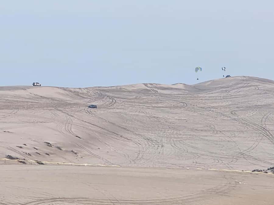 Doha:Private Desert Safari, Falcon, Sandboarding,inland sea - Falcon Pictures: A Small Moment That Feels Qatar-Real
