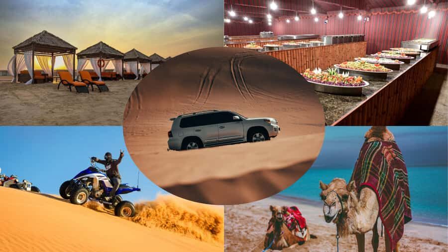 Doha:Safari Tour with Lunch/Dinner in Desert by the Sea Side - How This Doha Desert Safari Works in Real Life