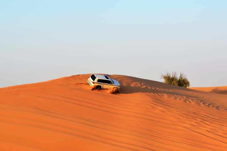 Doha:Safari Tour with Lunch/Dinner in Desert by the Sea Side - Dune Bashing: The Thrill Part (With a Safety Mindset)