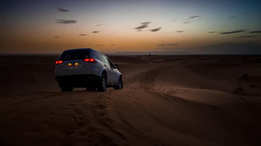 Doha:Safari Tour with Lunch/Dinner in Desert by the Sea Side - Price and Value: Is $265 a Fair Deal?