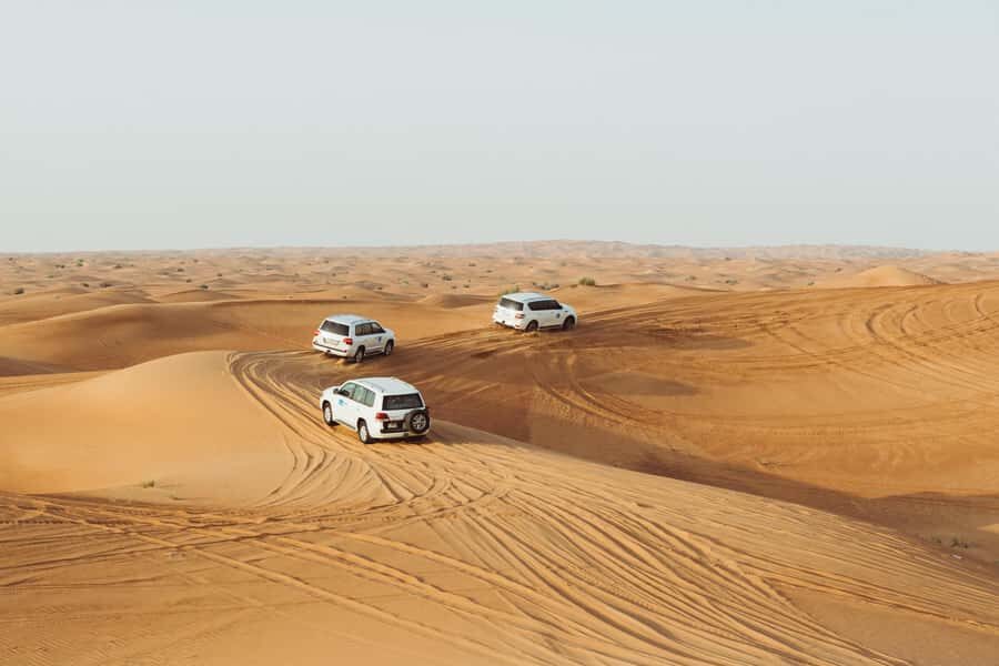 Doha:Safari Tour with Lunch/Dinner in Desert by the Sea Side - Who This Safari Fits Best (and Who Should Skip It)