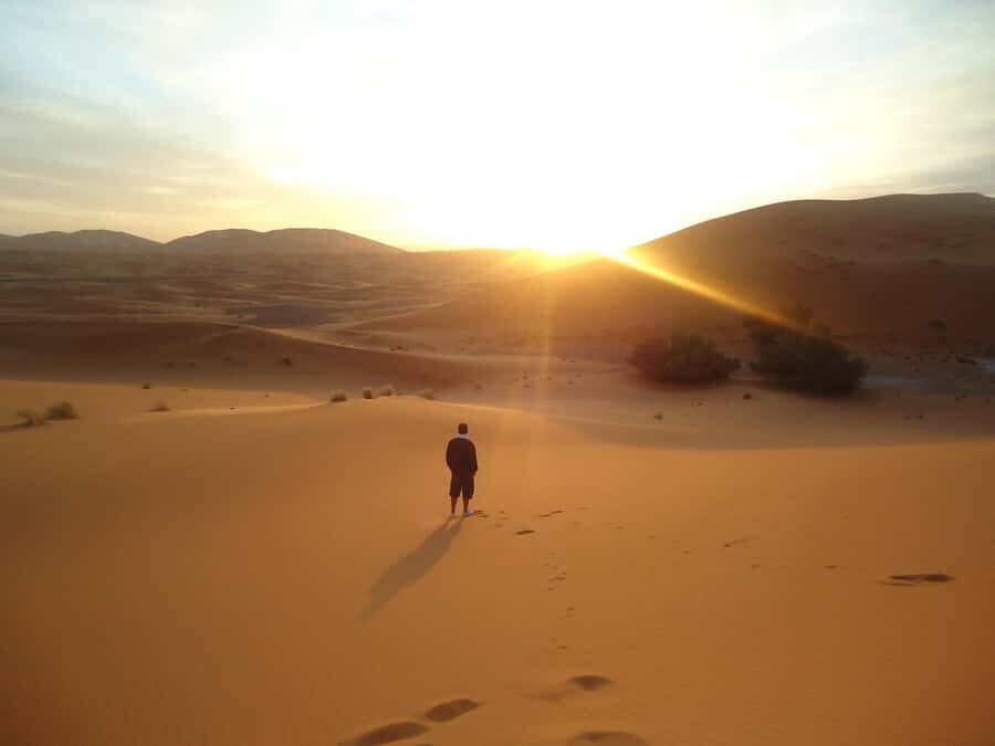 Doha:Sunrise or Sunset Desert Safari Tour with Sand Boarding - Why the Inland Sea is the main reason to book