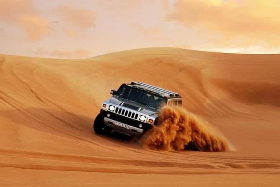 Dune Bashing &Beyond The Ultimate Desert Safari From Doha - Desert Stroll Time, Light, and the Chance to See Falcons