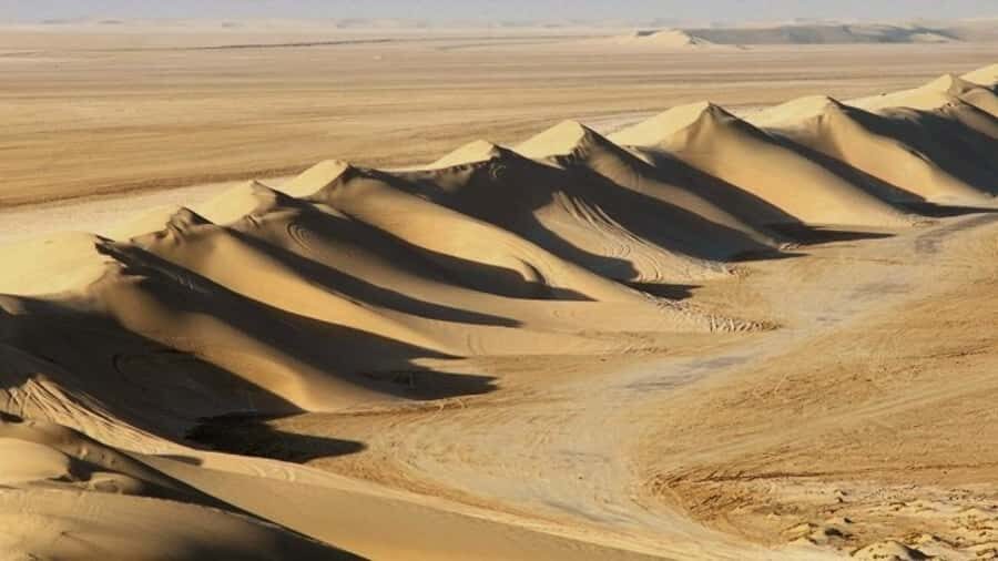 Dune Bashing, Sandboarding, Camel Ride & Optional ATV Ride - Pickup, seats, and what the transport phase actually does for you