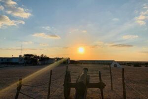 Explore North of Qatar: Visit Zubarah Fort and Fishing Town of Al Khor - Pickup and private AC transport: the part that saves your energy