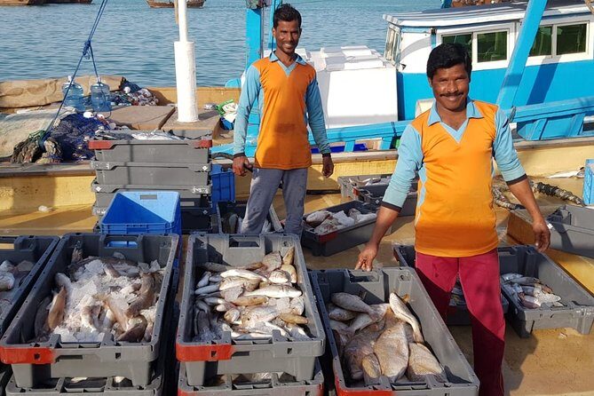 Explore North of Qatar: Visit Zubarah Fort and Fishing Town of Al Khor - What you’ll see at the fort complex (and why it matters)