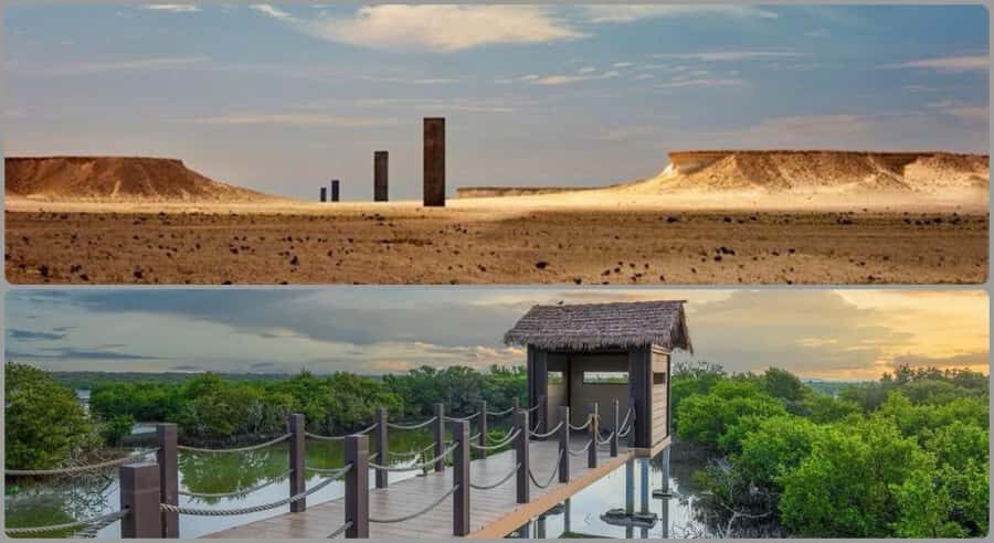 From Doha: Culture & History Qatar Tour to the North & West - North and West Qatar: why this route feels like a real change of pace