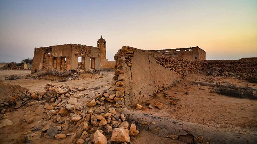 From Doha: Culture & History Qatar Tour to the North & West - Al Khor: coastal village atmosphere and mangrove surroundings