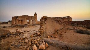 From Doha: Day Trip to North And West Qatar With Pickup - Purple Island and Al Thakira Mangroves: Your First Scenic Reset