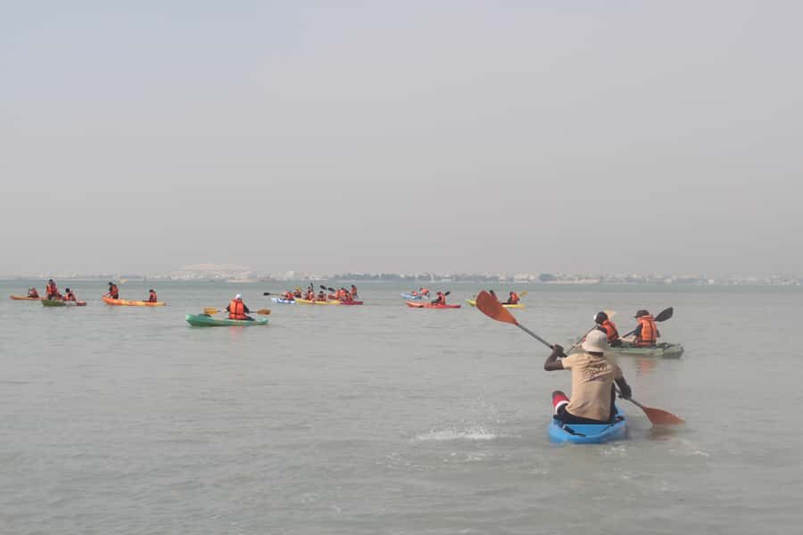 From Doha: Mangroves Kayaking Adventure - Key highlights worth planning for