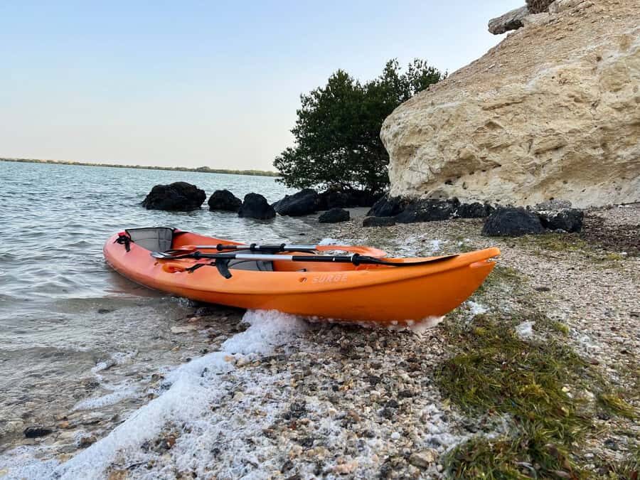 From Doha: Mangroves Kayaking Adventure - Al Thakira Mangroves: what you’ll actually paddle through