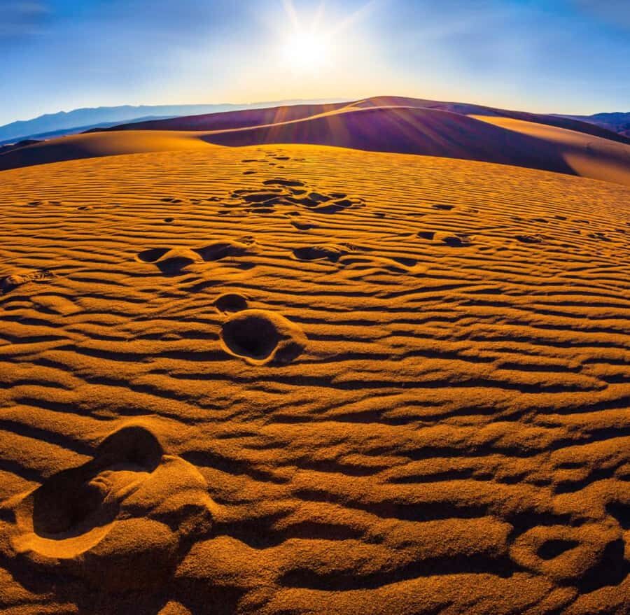 From Doha: Sunrise or Sunset Safari with Sand Boarding - Doha Desert Safari With Sandboarding: Why the Inland Sea Stop Matters