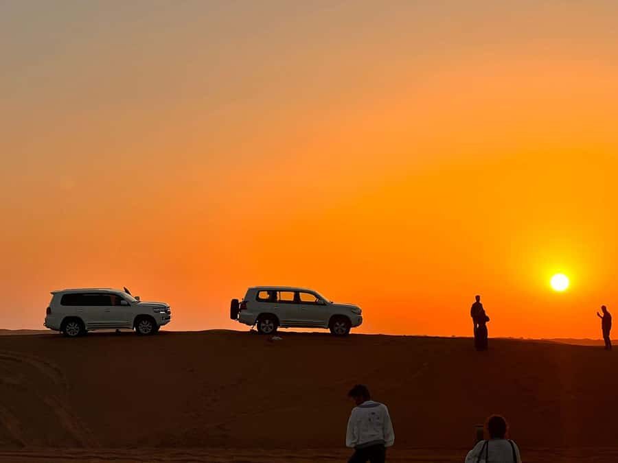 From Doha: Sunrise or Sunset Safari with Sand Boarding - The 4x4 Dune Bashing Part: What You’re Really Signing Up For