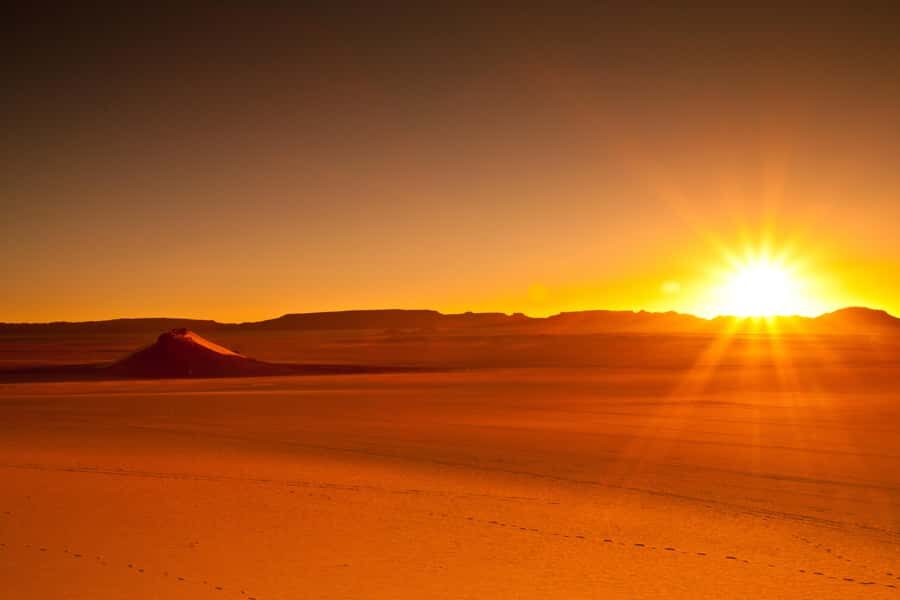 From Doha: Sunrise or Sunset Safari with Sand Boarding - Sandboarding on Qatar’s Dunes: Fun, Fast, and Not About Perfection