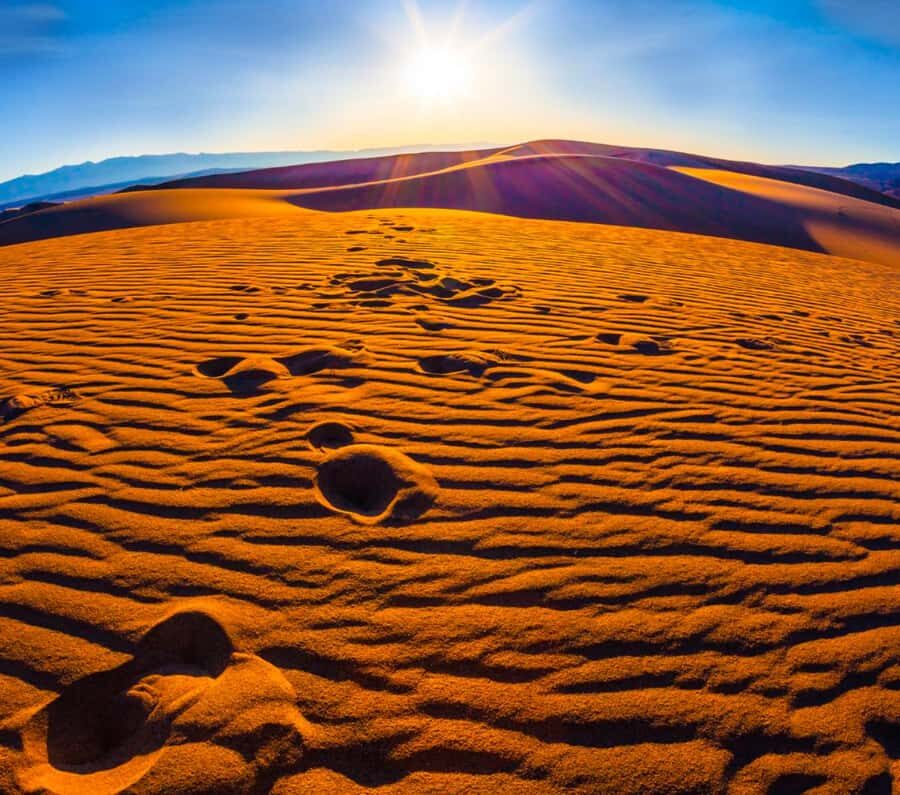 From Doha: Sunrise or Sunset Safari with Sand Boarding - Inland Sea at Sunrise or Sunset: The Moment the Tour Becomes Worth the Early Start