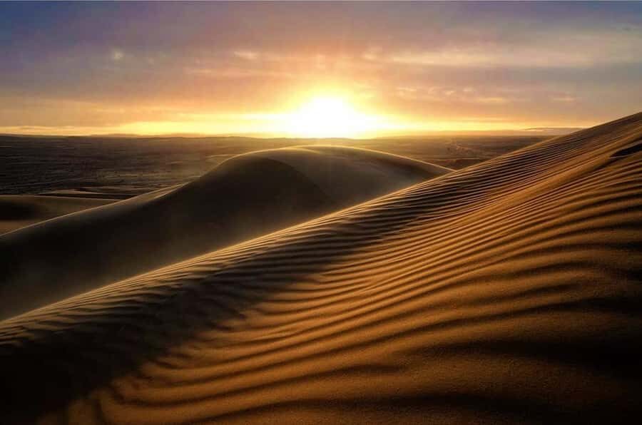 From Doha: Sunrise or Sunset Safari with Sand Boarding - Pickup and the 4-Hour Reality Check (So You Don’t Misjudge the Timing)