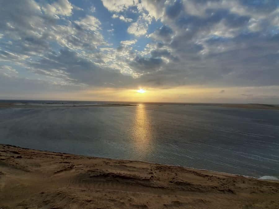 Full day desert safari with lunch or Dinner - Who this tour suits best (and who should skip)