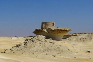 Full-Day Tour Qatar North And West - Purple Island (Al Khor Island): quick access to an odd-sounding favorite