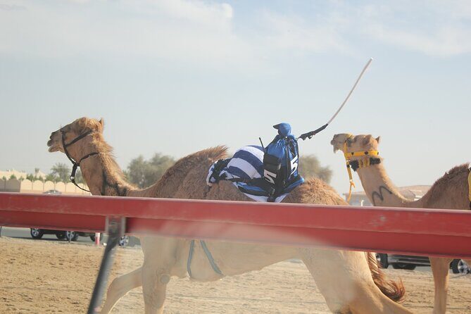 Full-Day Tour Qatar North And West - Zekreet Fort ruins: dunes, old structures, and serious photos