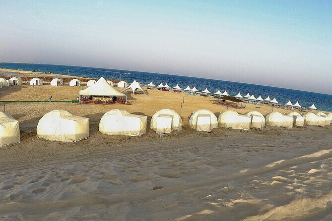 Half Day Desert Tour with Camel Ride - Half-Day Timing: What 4 Hours Feels Like in Doha