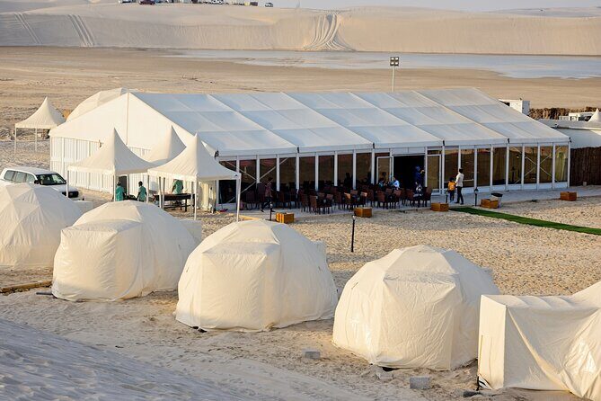 Half Day Desert Tour with Camel Ride - Price and Value: Is $274.72 a Fair Deal?