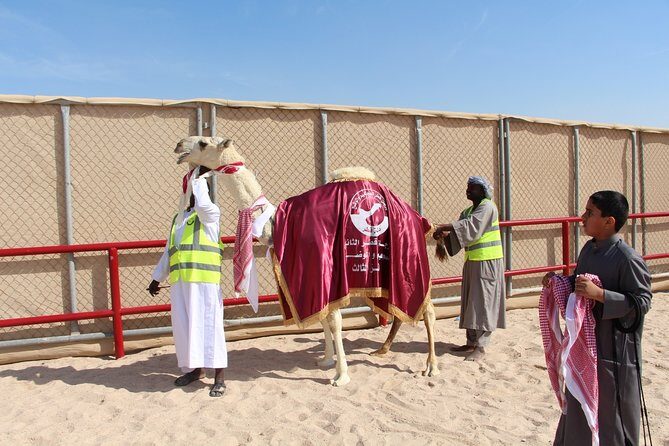 Half-Day Private Guided Camel Race Tour in Qatar - Behind the scenes at the track: photos, access, and what to look for