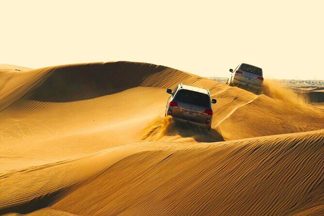 Half Day Safari Tour With Camel Ride and Sand Boarding in Doha - Key highlights to look for