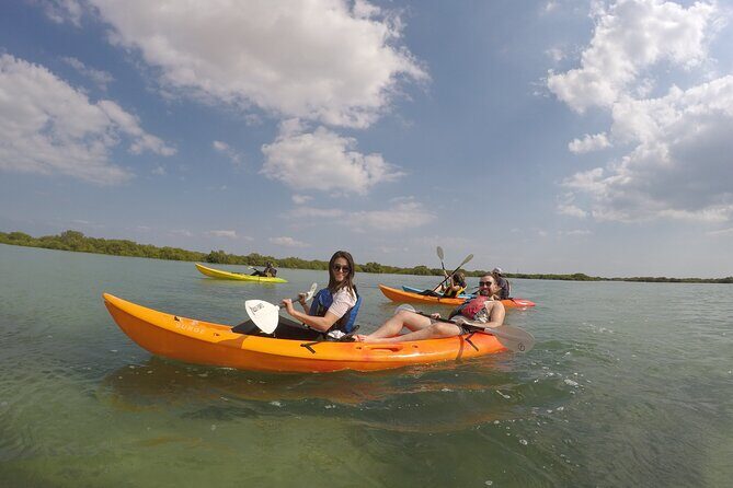 Mangrove Kayaking Purple Island Adventure - Guides on the Water: Learning Without Making It a Lecture