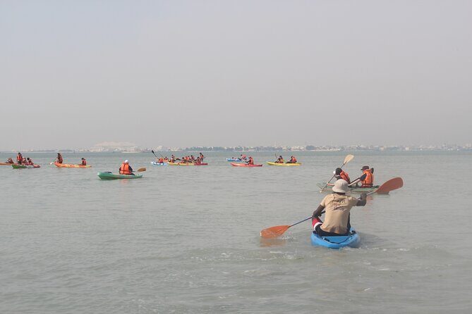 Mangrove Kayaking Purple Island Adventure - Timing, Sunset, and Wind: The Stuff That Can Change Your Day