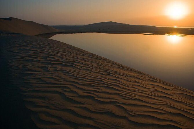 Night Desert Safari | Sand Boarding || Camel Ride || Inland Sea - From Doha pickup to the dunes in a 4x4