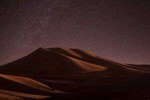 Night Desert Safari | Sand Boarding || Camel Ride || Inland Sea - Sealine Beach tea stop and camel ride: quick, not tiny