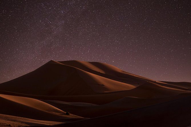 Night Desert Safari | Sand Boarding || Camel Ride || Inland Sea - Sealine Beach tea stop and camel ride: quick, not tiny
