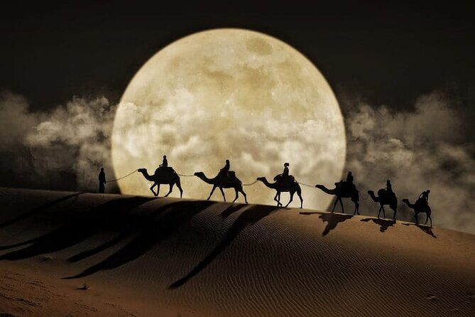 Night Desert Safari, Stargazing, Dune Driving & Inland Sea Visit - Key Highlights You Should Expect