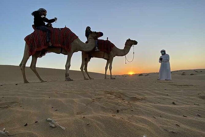 No Rush Desert Safari: 6-Hour Adventure & Inland Sea Relaxation - The Big Action Segment: Camel Ride and Dune Bashing in One Flow