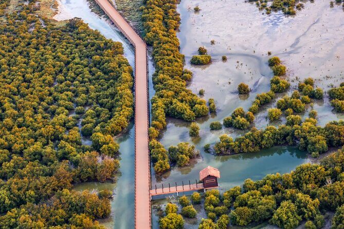 North of Qatar Tour, Zubara Fort, Mangroves, Jumail Village - North Qatar in one day: the real value of this route