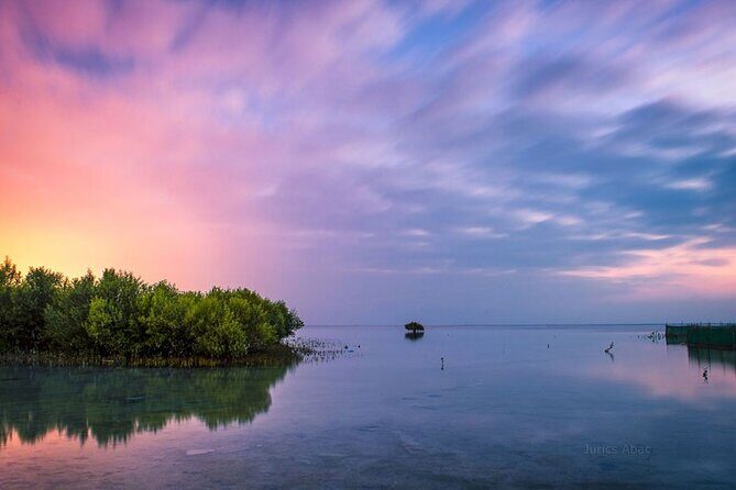 North of Qatar Tour, Zubara Fort, Mangroves, Jumail Village - Stop 2: Al Khor Corniche, traditional souqs, and mangrove calm