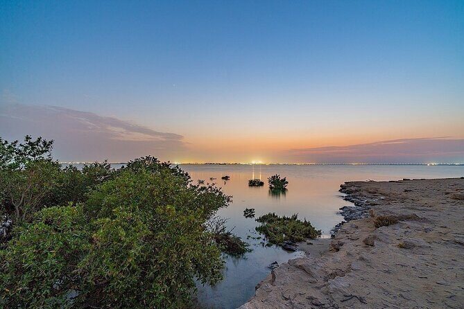 North of Qatar Tour, Zubara Fort, Mangroves, Jumail Village - Stop 5: Al Jumail Village and the quiet power of mud-brick ruins