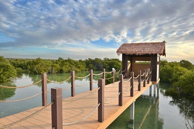 North Qatar Half-Day Tour: Al Zubarah, Purple Island & Mangroves - Key highlights worth caring about