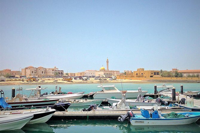 North Qatar Half-Day Tour: Al Zubarah, Purple Island & Mangroves - Al Zubara Fort: why this UNESCO stop matters