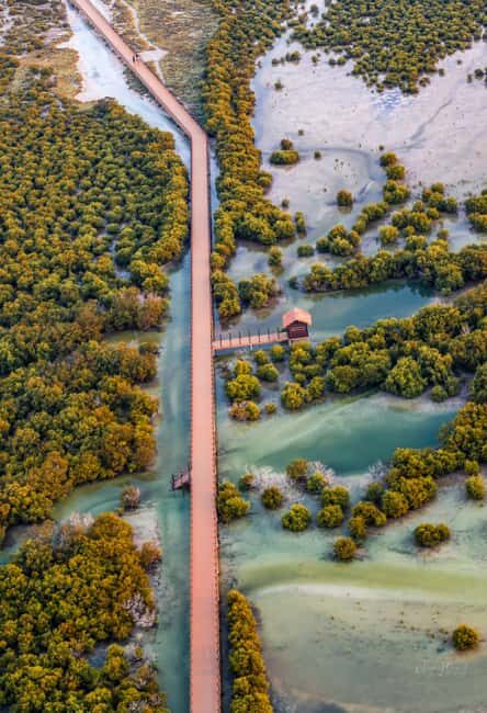 North Qatar: Zubara Fort, Jumail Village, Thakhira Mangroves - Al Zubara Fort vs. Mangroves vs. Jumail: Picking Your Favorite Mood