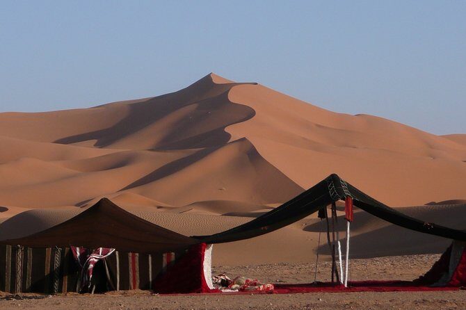 Premium Full-Day Safari, Dune Bash, Camel Ride and BBQ Meal in Desert Camp - Why Doha Desert Sports Beat a DIY Drive