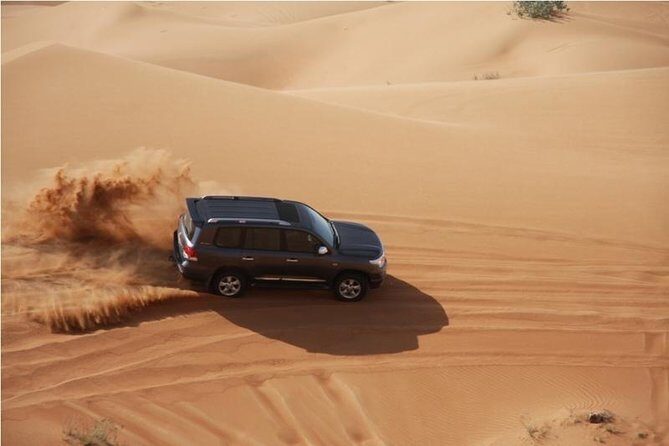 Premium Full-Day Safari, Dune Bash, Camel Ride and BBQ Meal in Desert Camp - Sealine Beach: Camel Ride, Dune Bash, and the Inland Sea Swim