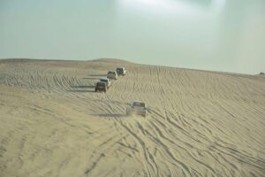 Premium Full-Day Safari, Dune Bash, Camel Ride and BBQ Meal in Desert Camp - Khor Al Udaid Beach Stop: A Short Nature Pause With Big Views