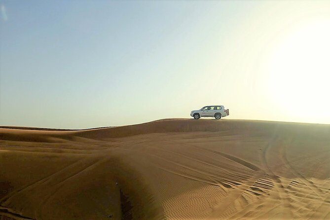 Premium Full-Day Safari, Dune Bash, Camel Ride and BBQ Meal in Desert Camp - Should You Book This Tour?