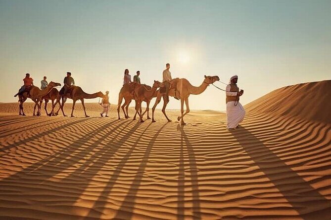 Private Doha Desert Safari and Inland Sea Tour, Best adventures - Sealine Beach: where the Doha desert safari feels extra scenic